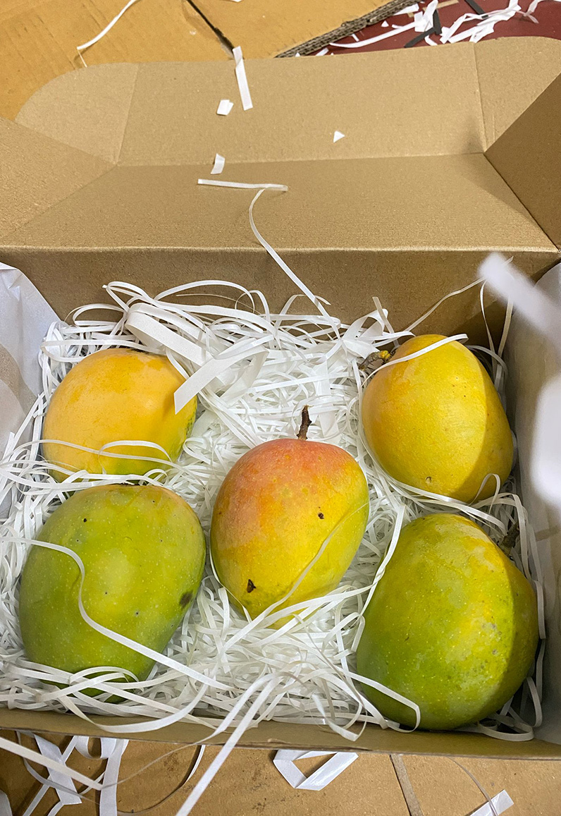 Alphonso Mangoes